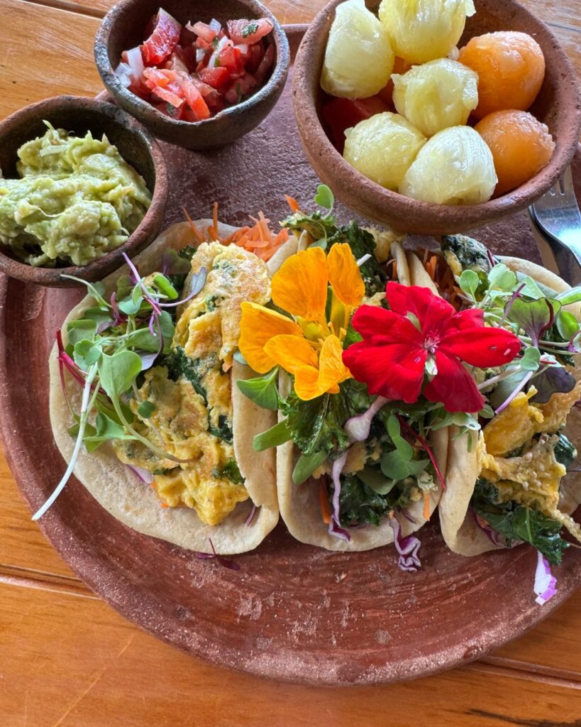 where to eat in Antigua